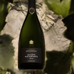 La Côte aux Enfants Champagne 2013