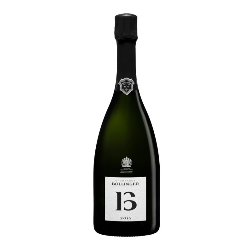 Bollinger B16