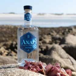 Anaë Gin Iodyssée